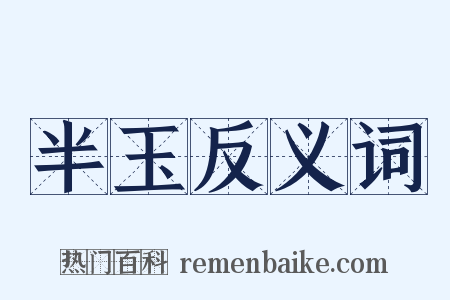 半玉反义词是什么意思的图片